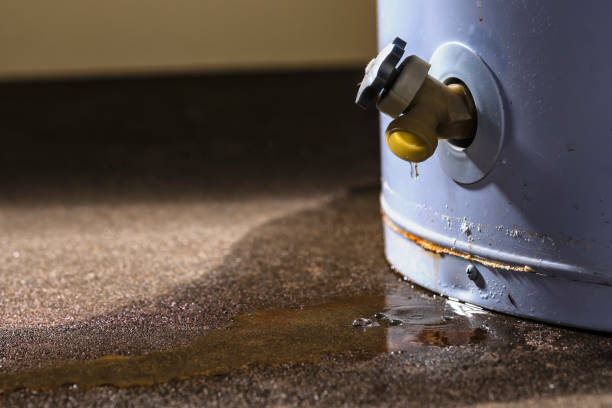 Best 24/7 water damage repair  in Juarez, TX