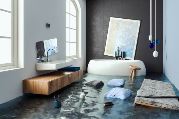 Best Professional water damage repair  in Juarez, TX