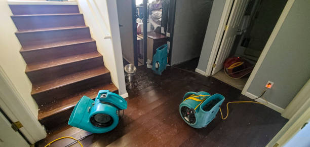 Trusted Juarez, TX Water damage restoration Experts