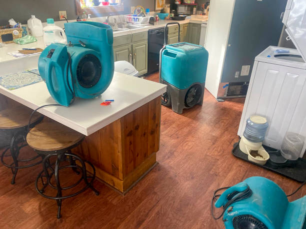 Best Ceiling water damage repair  in Juarez, TX