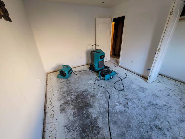 Best Water damage restoration near me  in Juarez, TX
