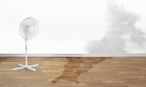 Professional Water damage restoration in Juarez, TX