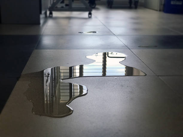 Best 24-hour water damage restoration  in Juarez, TX