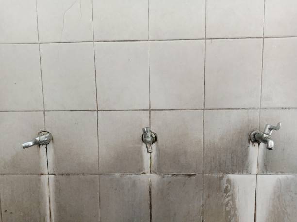 Best Emergency water damage restoration  in Juarez, TX