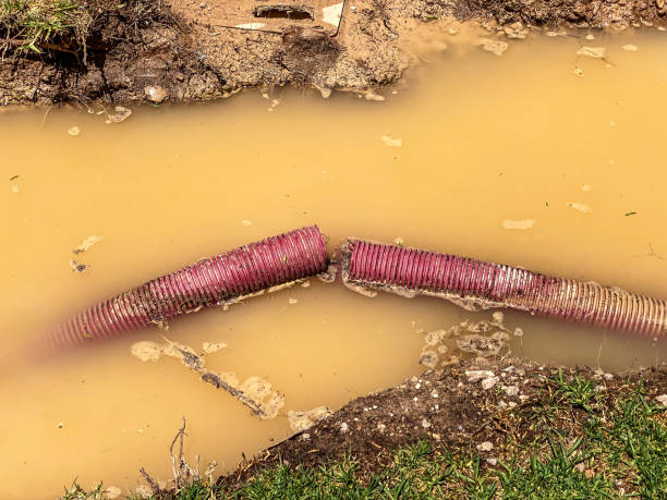 Best Water damage contractors near me  in Juarez, TX