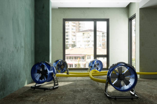 Best Sewage cleanup and water damage restoration  in Juarez, TX